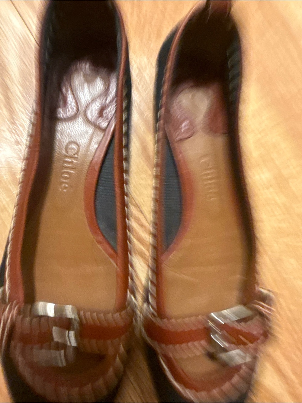 Chloe Brown Leather-Trim Black Canvas Flats with Buckle - Picture 2 of 12